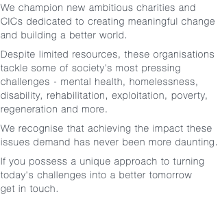 We champion new ambitious charities and CICs dedicated to creating meaningful change and building a better world. Despite limited resources, these organisations tackle some of society’s most pressing challenges - mental health, homelessness, disability, rehabilitation, exploitation, poverty, regeneration and more. We recognise that achieving the impact these issues demand has never been more daunting. If you possess a unique approach to turning today's challenges into a better tomorrow  get in touch.